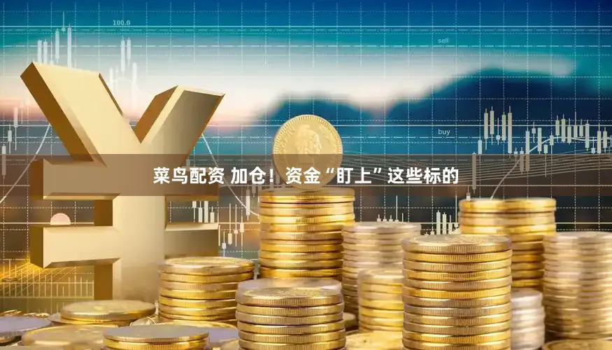 菜鸟配资 加仓！资金“盯上”这些标的