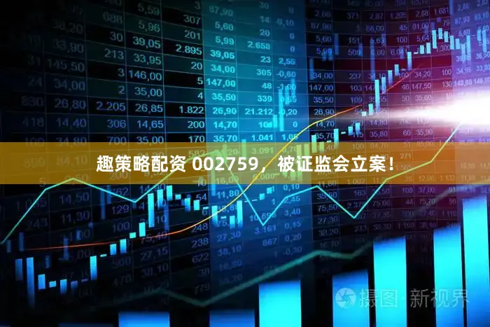 趣策略配资 002759，被证监会立案！