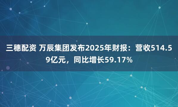 三穗配资 万辰集团发布2025年财报：营收514.59亿元，同比增长59.17%