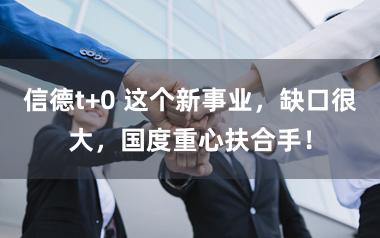信德t+0 这个新事业，缺口很大，国度重心扶合手！