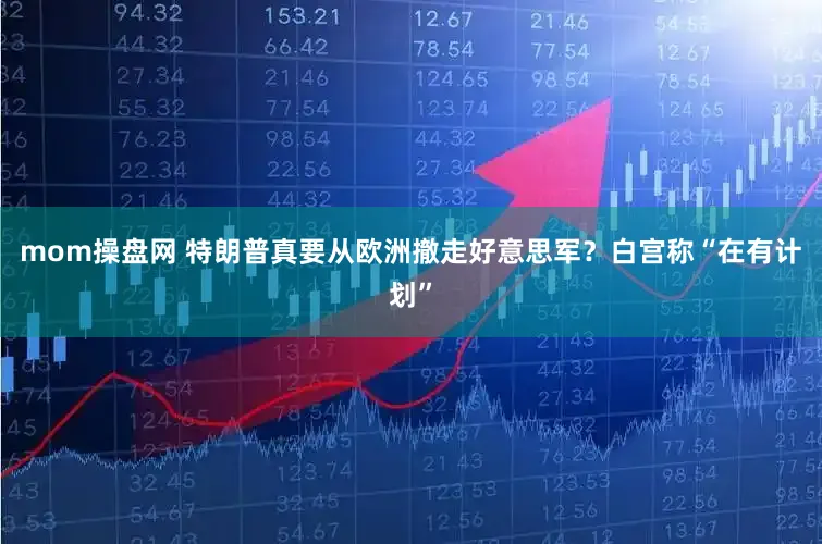 mom操盘网 特朗普真要从欧洲撤走好意思军？白宫称“在有计划”