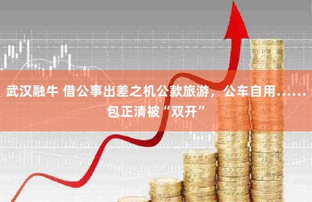 武汉融牛 借公事出差之机公款旅游,公车自用……包正清被“双开”
