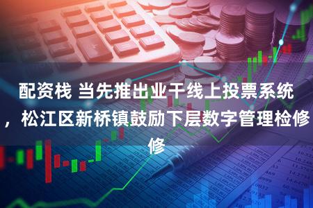 配资栈 当先推出业干线上投票系统,松江区新桥镇鼓励下层数字管理检修