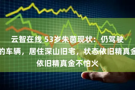 云智在线 53岁朱茵现状：仍驾驶九七年的车辆，居住深山旧宅，状态依旧精真金不怕火