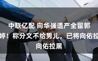中联亿配 向华强遗产全留郭碧婷！称分文不给男儿，已将向佑拉黑