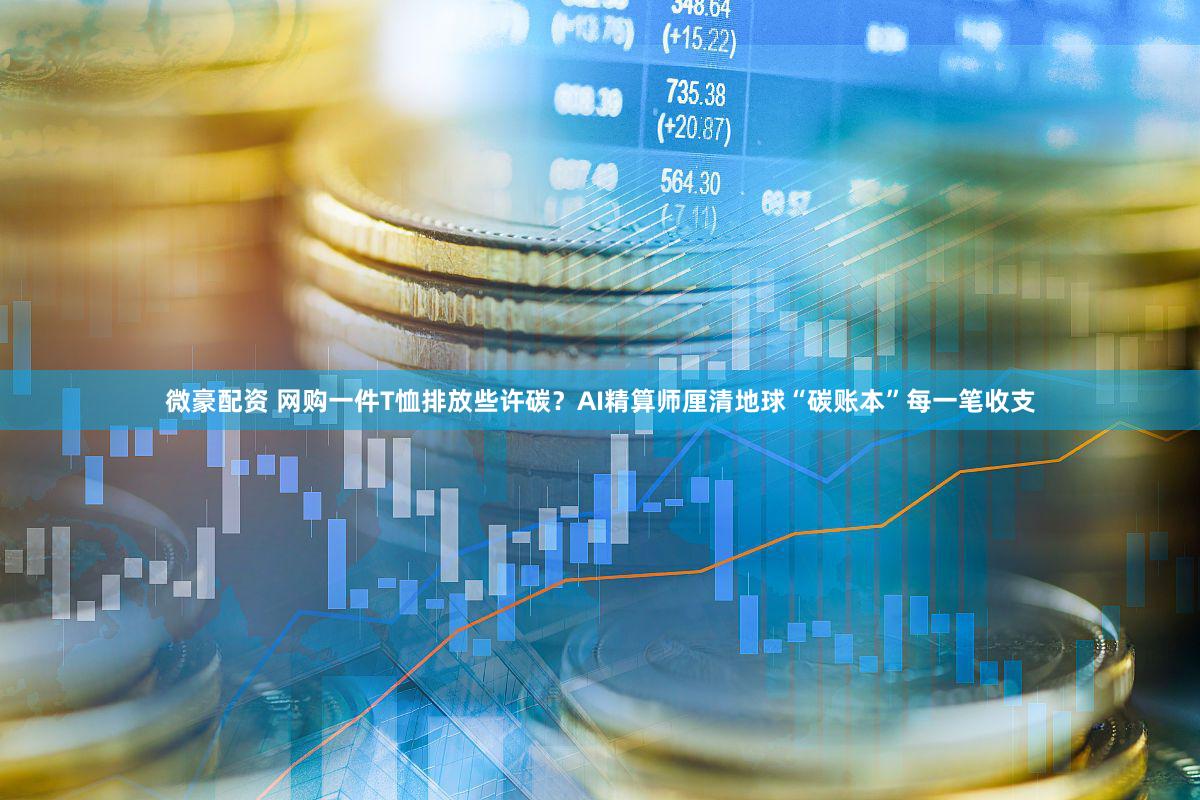 微豪配资 网购一件T恤排放些许碳？AI精算师厘清地球“碳账本”每一笔收支