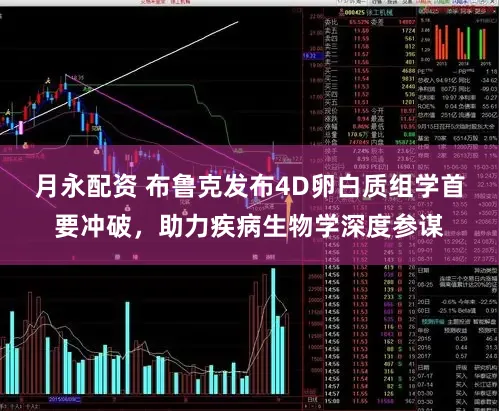 月永配资 布鲁克发布4D卵白质组学首要冲破，助力疾病生物学深度参谋