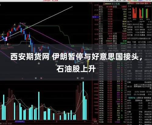 西安期货网 伊朗暂停与好意思国接头，石油股上升