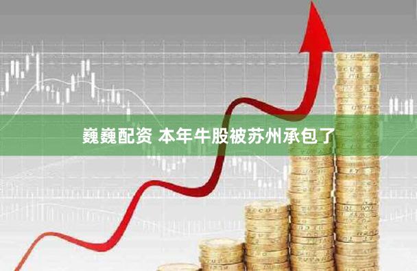 巍巍配资 本年牛股被苏州承包了